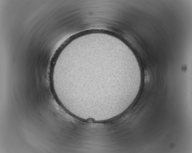 X0000112831068200909181644