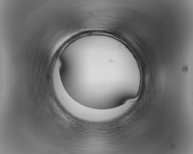 X0000112831069200909181644