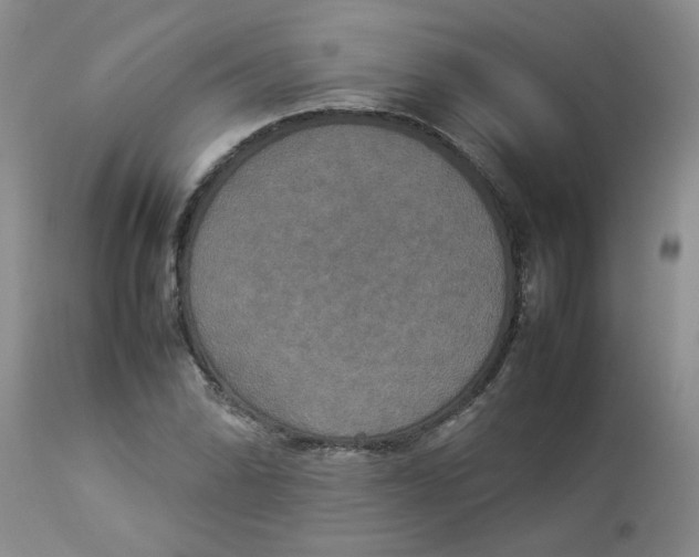 X0000112831070200909181644