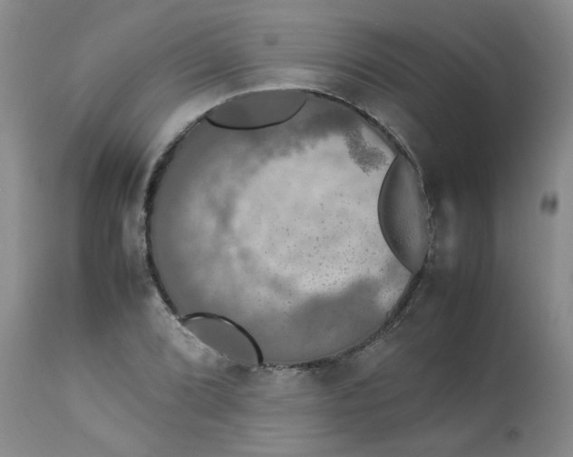 X0000112831072200909181644