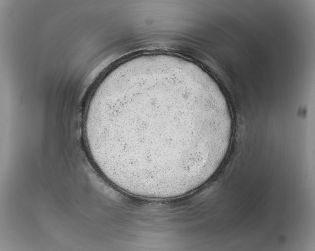 X0000112831075200909181644