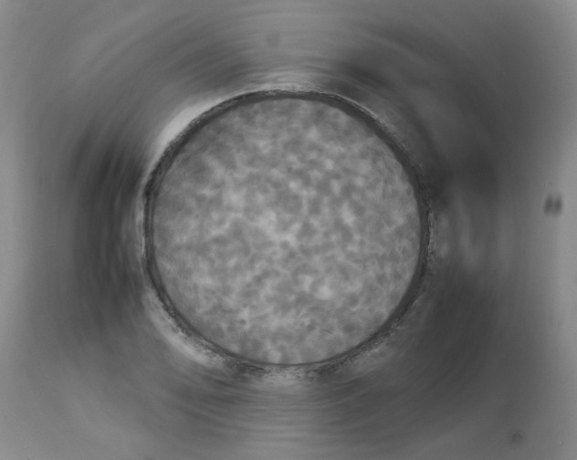 X0000112831078200909181644