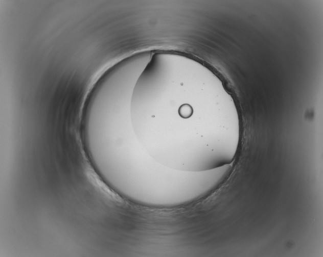 X0000112831080200909181644