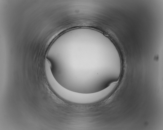 X0000112831081200909181644