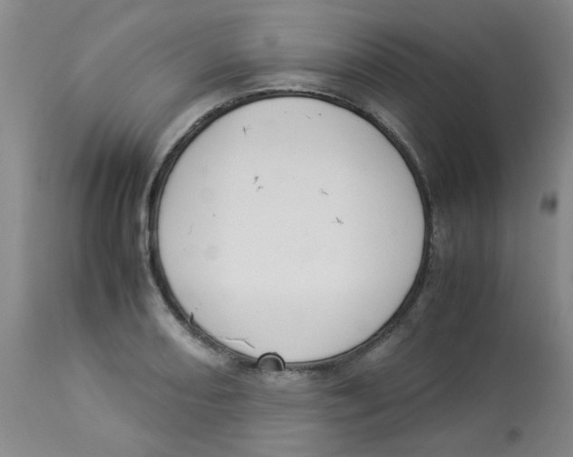 X0000112831082200909181644