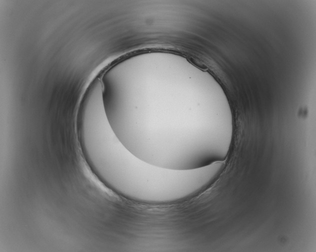 X0000112831084200909181644