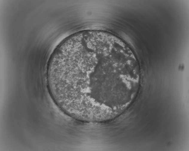 X0000112831087200909181644