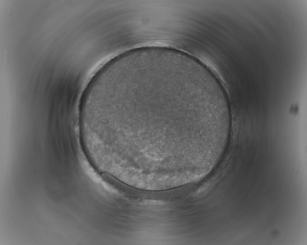 X0000112831088200909181644