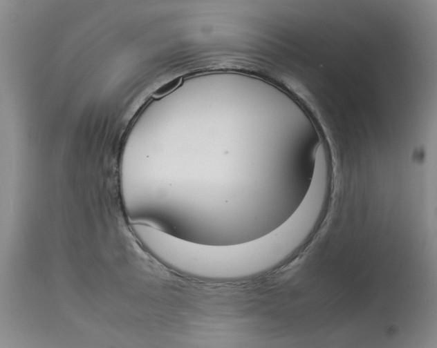 X0000112831089200909181644