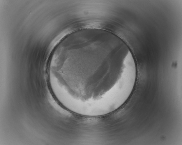 X0000112831090200909181644