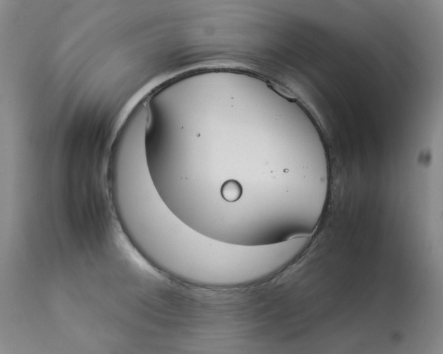 X0000112831092200909181644