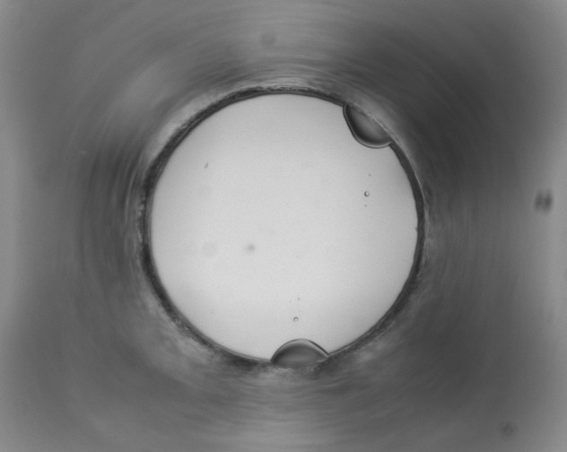 X0000112831093200909181644