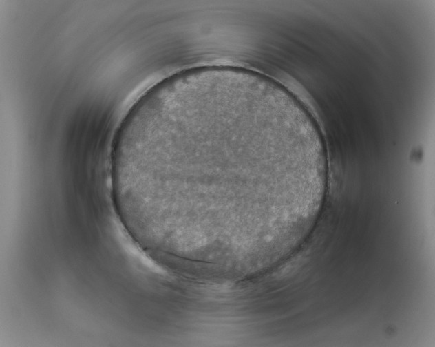 X0000112831096200909181644