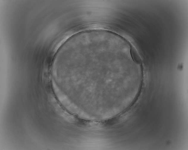 X0000112831097200909181644