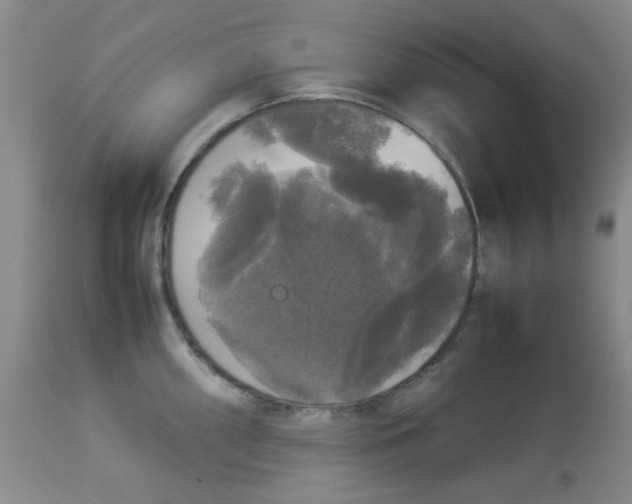 X0000112831098200909181644