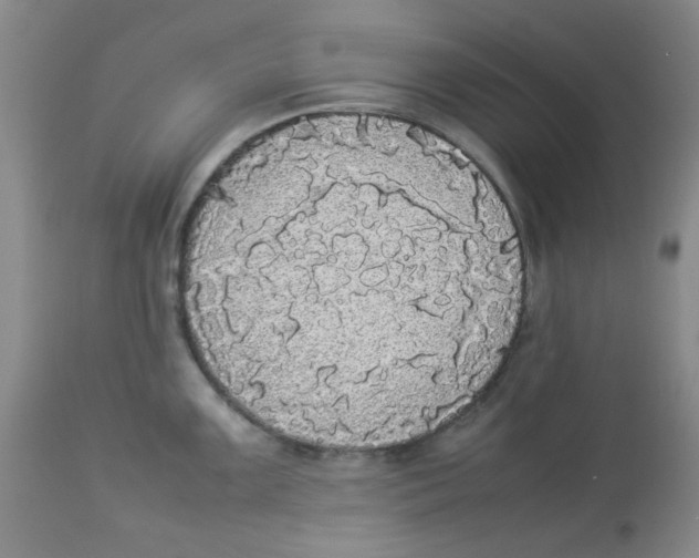 X0000112831099200909181644