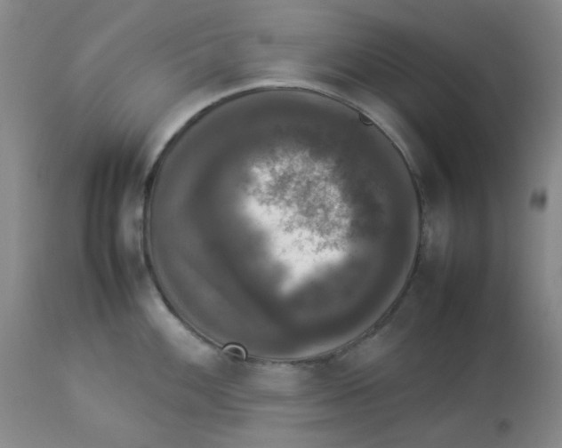 X0000112831100200909181644