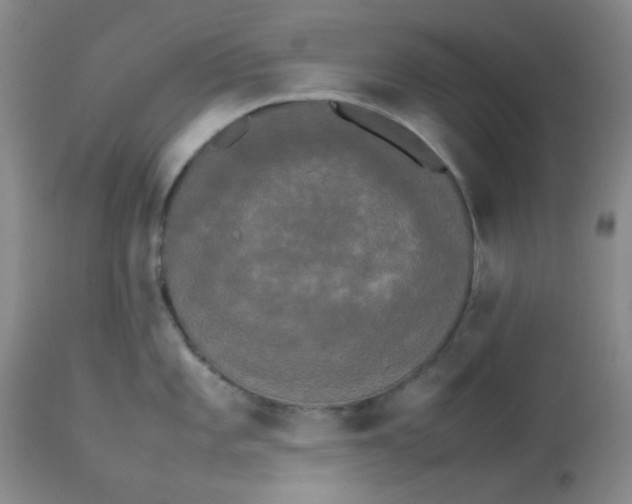 X0000112831101200909181644