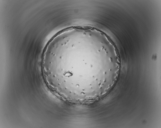 X0000112831102200909181644