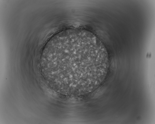 X0000112831105200909181643