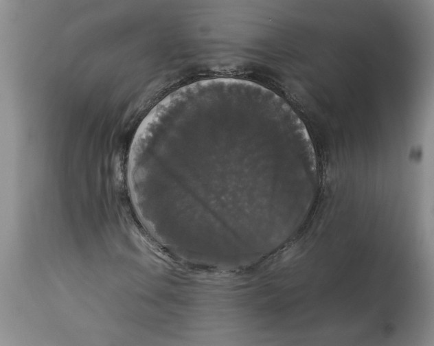 X0000112831106200909181643