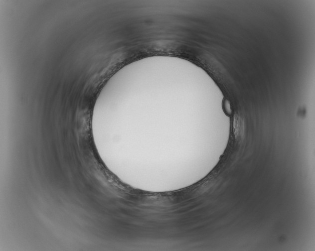 X0000112831107200909181643