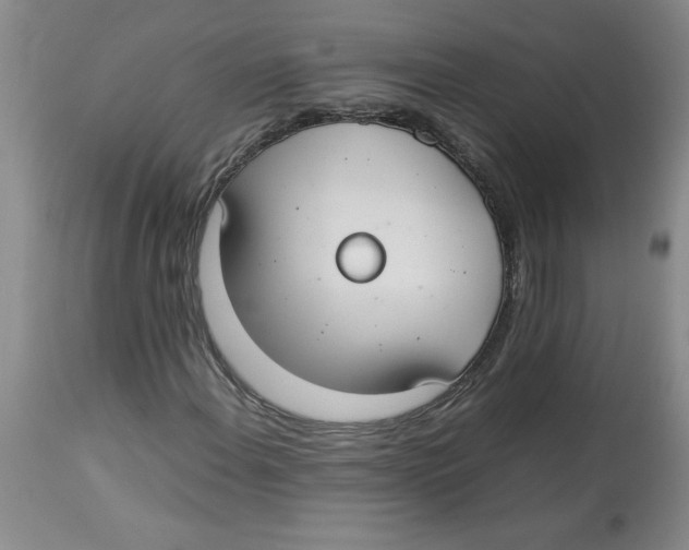 X0000112831108200909181643