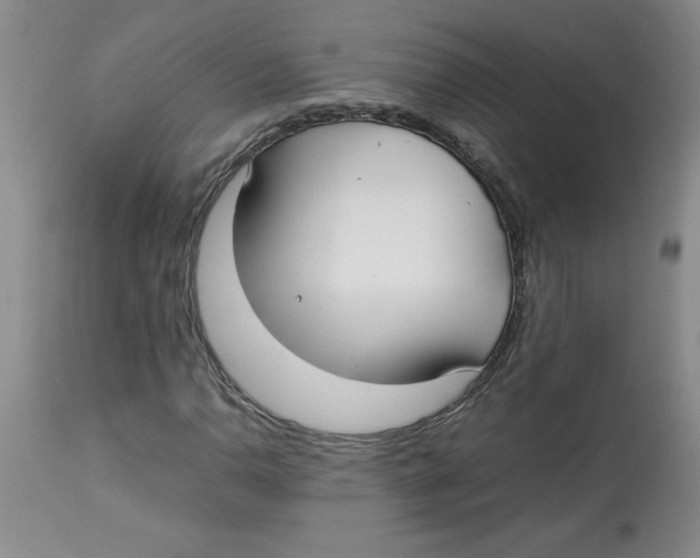 X0000112831110200909181643