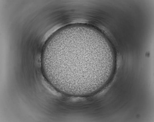 X0000112831113200909181643