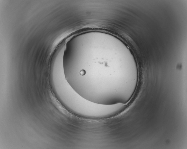 X0000112831114200909181643