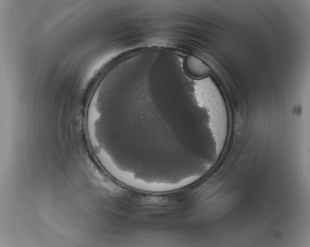 X0000112831115200909181643