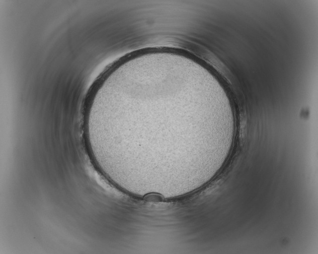 X0000112831116200909181643