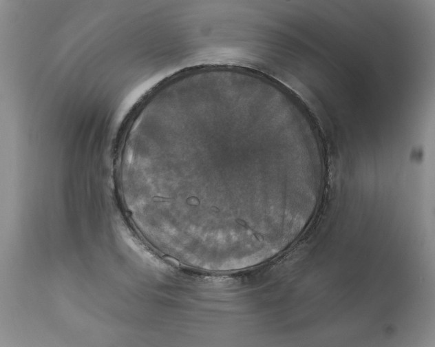 X0000112831120200909181643