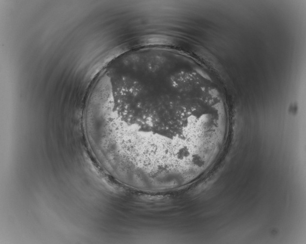 X0000112831121200909181643