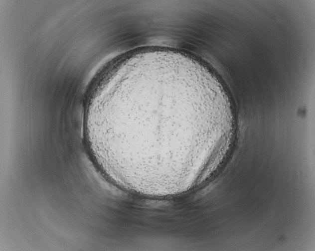 X0000112831123200909181643