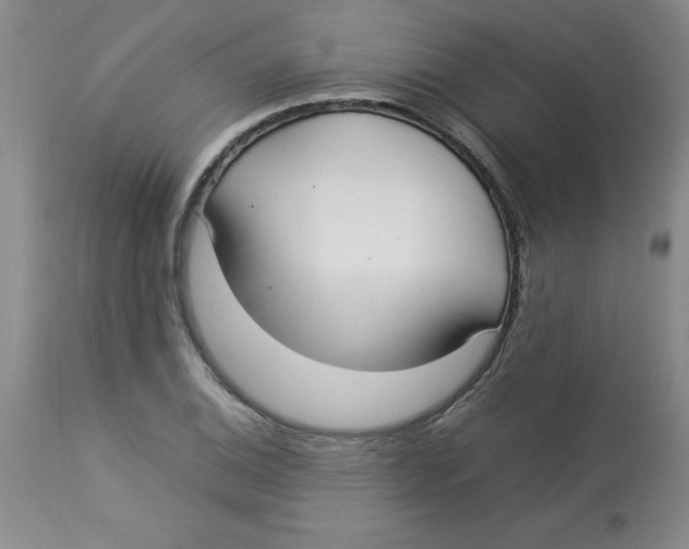 X0000112831124200909181643