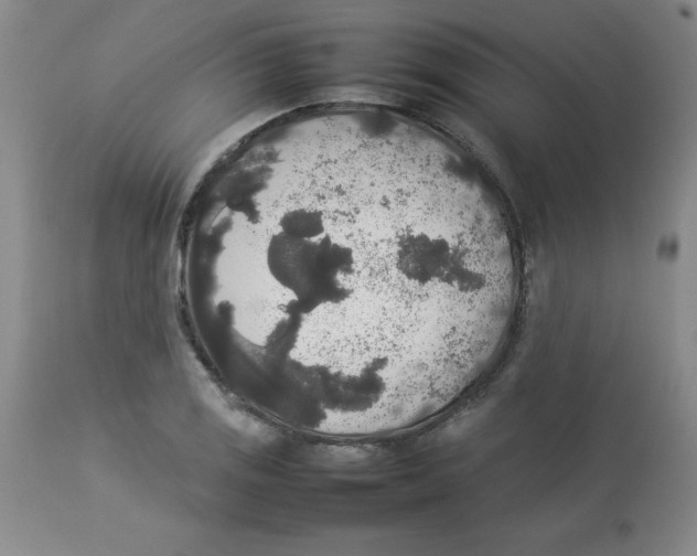 X0000112831125200909181643