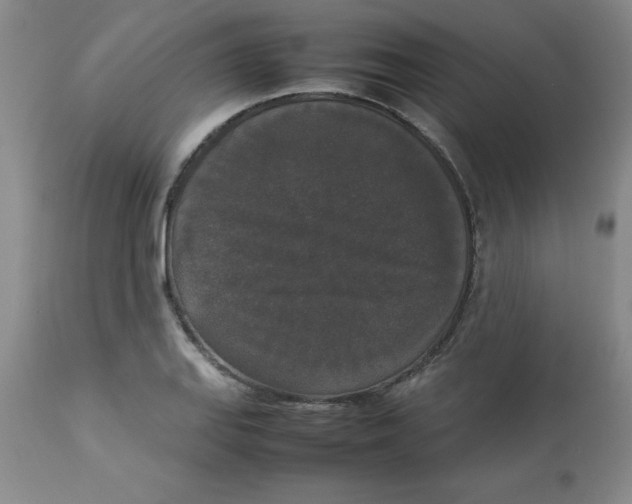 X0000112831127200909181643