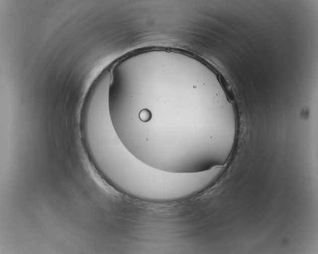 X0000112831128200909181643