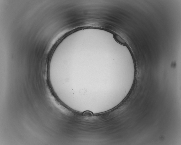 X0000112831131200909181643