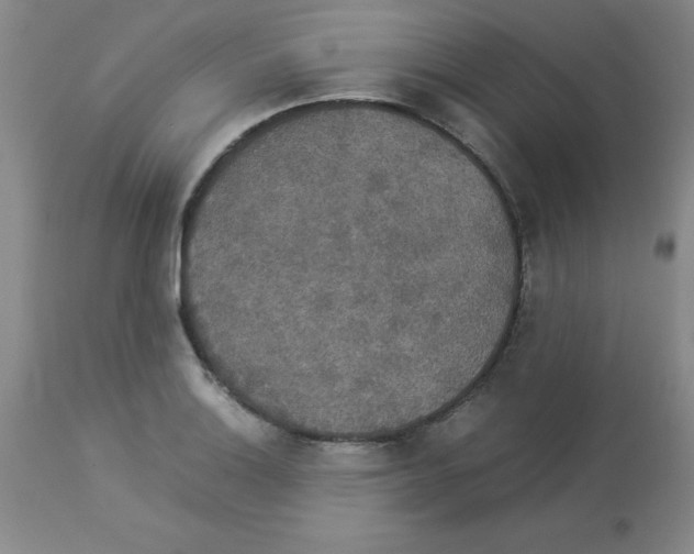 X0000112831132200909181643