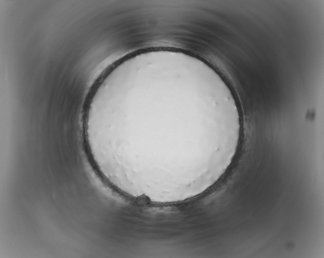 X0000112831133200909181643