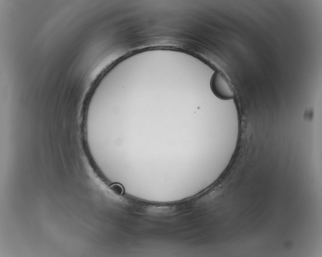 X0000112831135200909181644