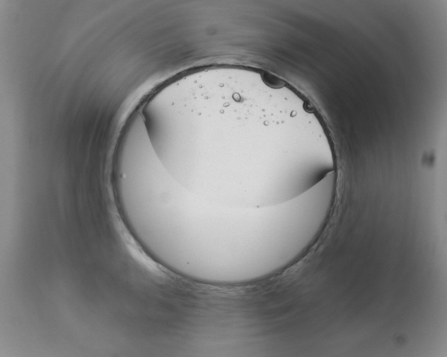 X0000112831136200909181644