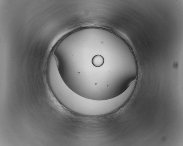 X0000112831138200909181644