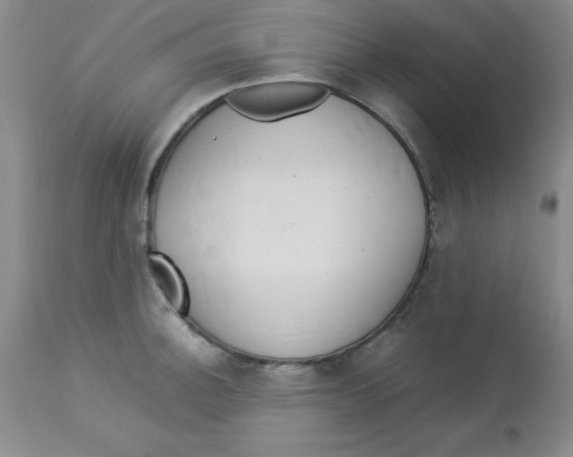 X0000112831140200909181644