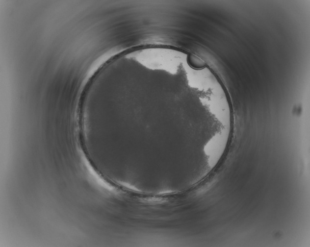 X0000112831141200909181644