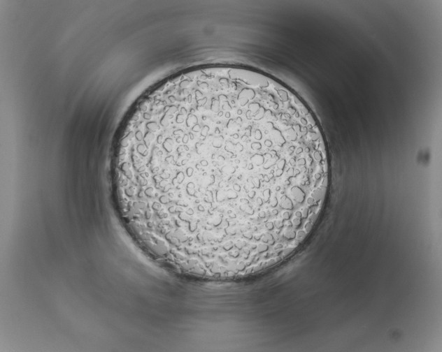 X0000112831142200909181644