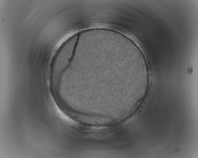 X0000112831143200909181644