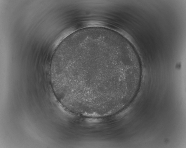 X0000112831145200909181644